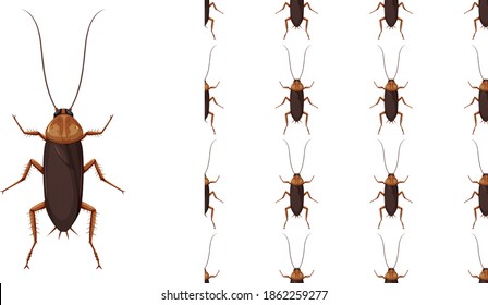 Cockroach isolated on white background and seamless illustration