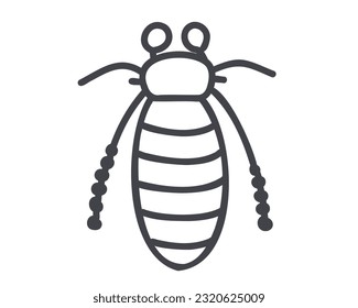 cockroach isolated on white background, doodle vector illustration