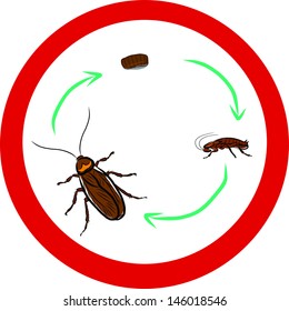 11,394 Bug life cycle Images, Stock Photos & Vectors | Shutterstock