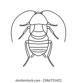 cockroach line icon vector illustration isolated on white background.
