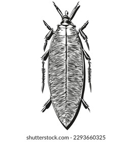 cockroach logo, black and white illustration hand drawing cockroaches
