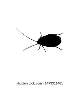 Cockroach Logo Design Vector Illustration. Cockroach Design Template