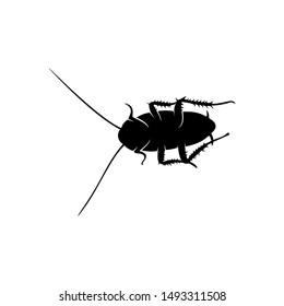 Cockroach Logo Design Vector Illustration. Cockroach Design Template