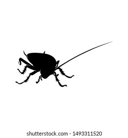 Cockroach Logo Design Vector Illustration. Cockroach Design Template