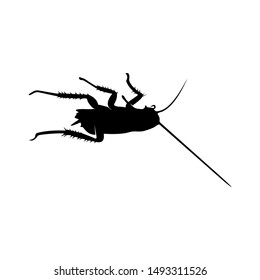Cockroach Logo Design Vector Illustration. Cockroach Design Template