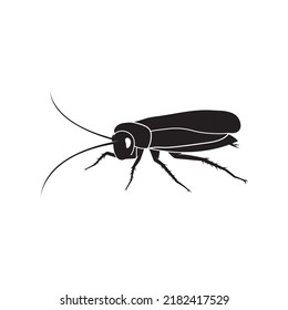 Cockroach logo. Isolated cockroach on white background