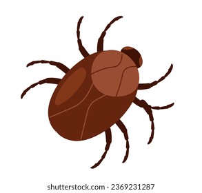 Cockroach moth mite bug roach isolated on white background. Vector flat graphic design illustration