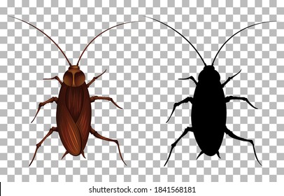 Cucaracha sobre ilustración transparente de fondo