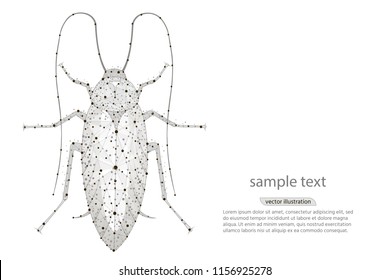 Cockroach on white background. Insects symbol stock vector illustration. Abstract polygonal image mash line and point. Digital graphics illustration.