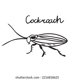 Cockroach. Outline icon. Insect. Hand drawn vector design on white background.