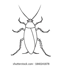 Plaga de cucarachas, ilustración portadora de contorno de una cucaracha, vista superior.