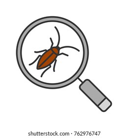 Cockroach searching color icon. Pest control service. Magnifying glass with roach. Isolated vector illustration