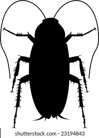 Cockroach Silhouette