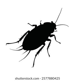 Cockroach silhouette design and vector 