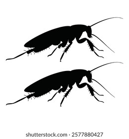 Cockroach silhouette design and vector 