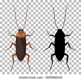 Cockroach with its silhouette isolated on transparent background illustration