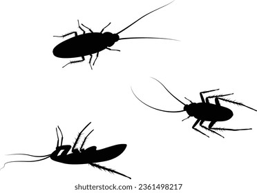 Cockroach Silhouette SVG, Cockroach Svg