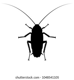 Cockroach silhouette vector