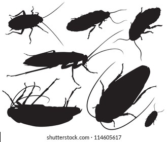 Cockroach Silhouette Vector