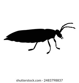 cockroach silhouette vector design. black and white.