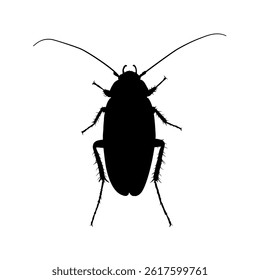 cockroach silhouette – vector illustration