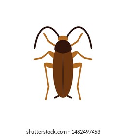 Cockroach single flat icon. Roach simple sign in cartoon style. Pest insect pictogram. Wildlife symbol. Entomology closeup vector illustration isolated on white. Graphic design element for card, logo