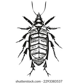 cockroach sketches, outline with transparent background, hand drawn illustration cockroaches
