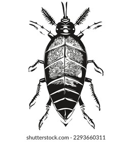 cockroach sketches, outline with transparent background, hand drawn illustration cockroaches
