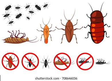 Cockroach species vector icons set. Signs for the control of insects. Illustration of beetles isolated on white background.