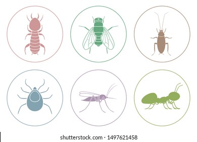 Cockroach, termite, mosquito, fly, ant and tick icon. Vector.