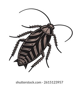 A Cockroach vector art illustration