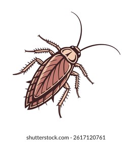 A Cockroach vector art illustration