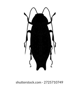 Cockroach vector black silhouette illustration. Insect outline for pest control and entomology. Elongated beetle graphic for design and educational material. Weevil outline drawing.