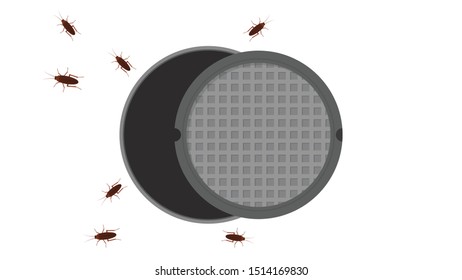 Cockroach vector. Drain vector. free space for text. copy space. cockroach on the drain.