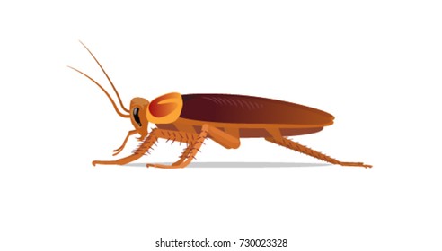 Cockroach. Vector illustration. Isolated on a white background.