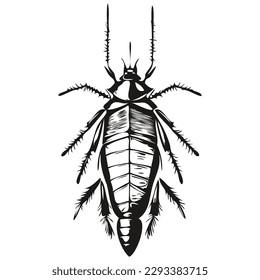 ilustraciones de línea de vector de cucarachas dibujo cucarachas negras y blancas
