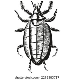 ilustraciones de línea de vector de cucarachas dibujo cucarachas negras y blancas
