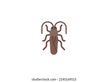 Cockroach Vector Isolated Emoticon. Cockroach Icon