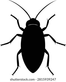 a cockroach viewed from above against a stark white background