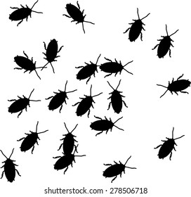 Cockroaches