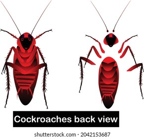 
Cockroaches back view vector image, natural cockroaches character and easy to animate all of cockroaches element