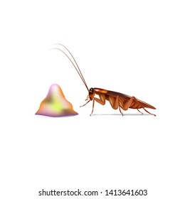 Cockroaches eats foods vector on white background