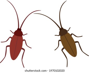 Cockroaches gray and brown in the set. Vector image.
