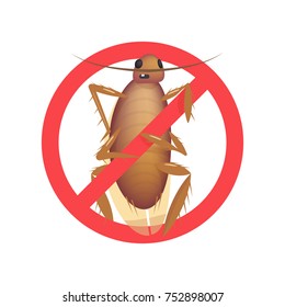 Cockroaches. Insect control