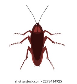 Cockroaches insects vector illustration in isolated white background. Object of insect and fly icon. Insect and element stock symbol for web.