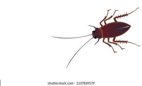 Roach, con gián png | PNGEgg