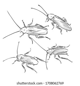 a lot of cockroaches sketch vector, cockroaches vector sketch illustration