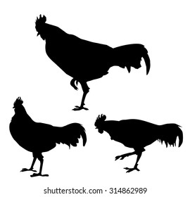 Cocks Silhouette Set