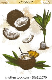 cocktail of coconut milk and half a coconut