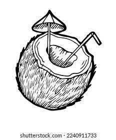 Cocktail in coconut shell. Summer tropical beach. Vacation on the sea or ocean. Relaxation and travel by the water. Outline hand drawn sketch. Drawing with ink. Isolated on white background. Vector.